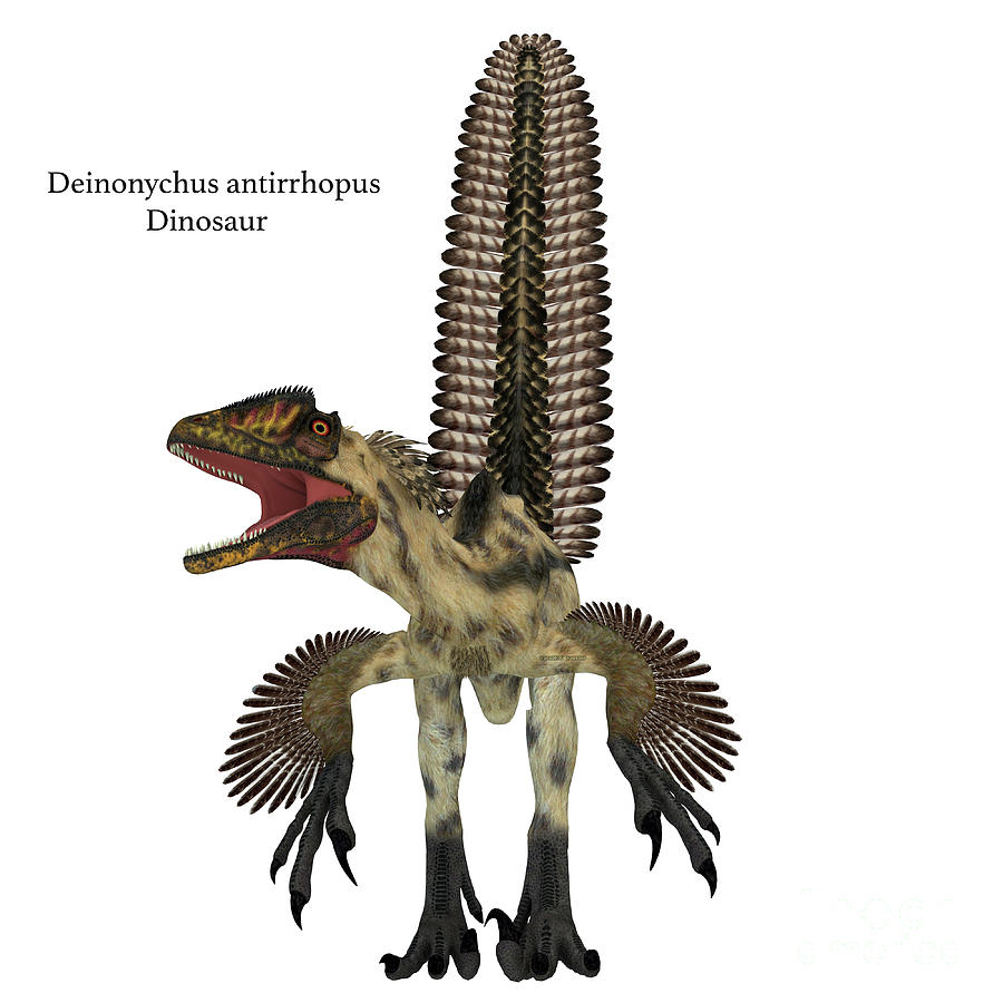 Deinonychus Dinosaur Front with Font Digital Art by Corey Ford