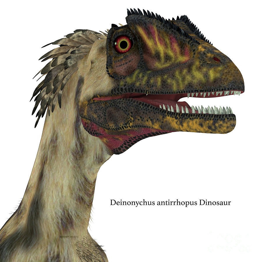 Deinonychus Dinosaur Head with Font Digital Art by Corey Ford
