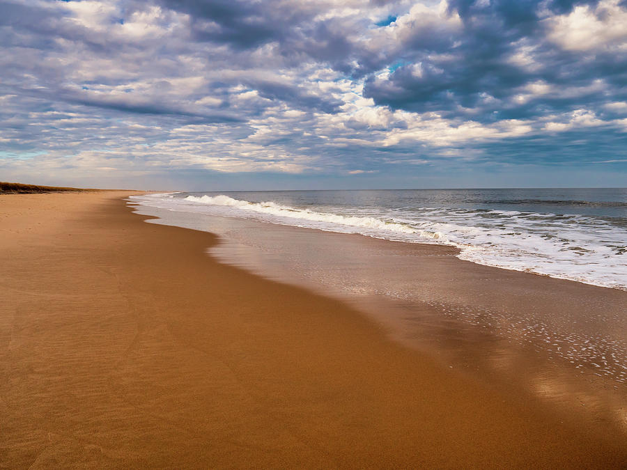 Delaware Beach Paradise Photograph by David Kay