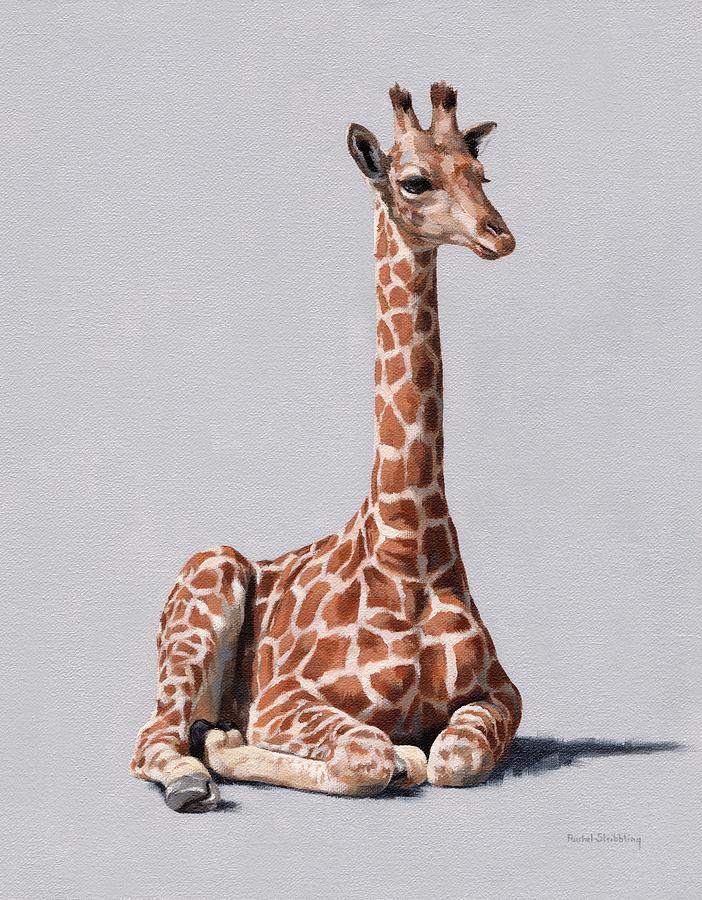 Delia by Rachel Stribbling Delia by Rachel Stribbling