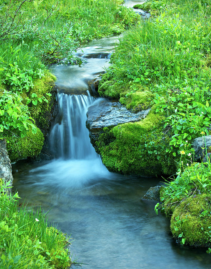 Delicate Alpine Stream Photograph by Phototropic
