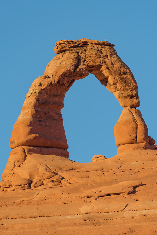 Delicate Arch Photograph by Jeff Foott