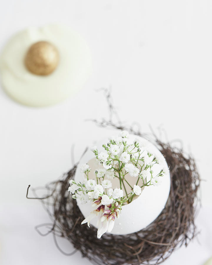 Delicate Easter Arrangement With Gypsophila In Egg Shell Photograph by Hannah Kompanik