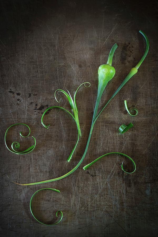 Delicate Greens On A Rustic Metal Surface Photograph by Natasha Breen