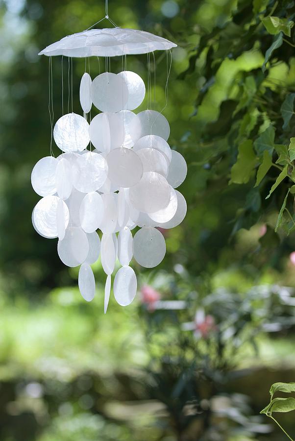 Delicate Wind Chimes Made From White Mother-of-pearl Discs Hanging In Garden Photograph by Matteo Manduzio
