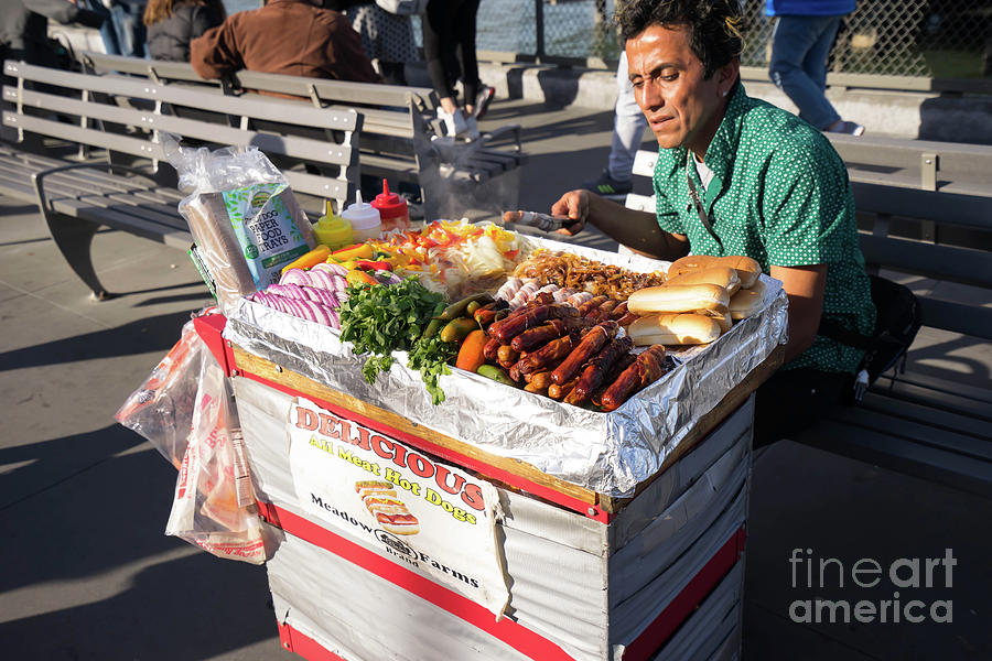Delicious All Meat Hot Dog Street Food Vendor DSC6799 Photograph by Wingsdomain Art and Photography