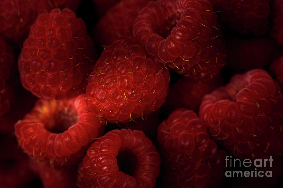 Delicious raspberries Photograph by Jenco van Zalk