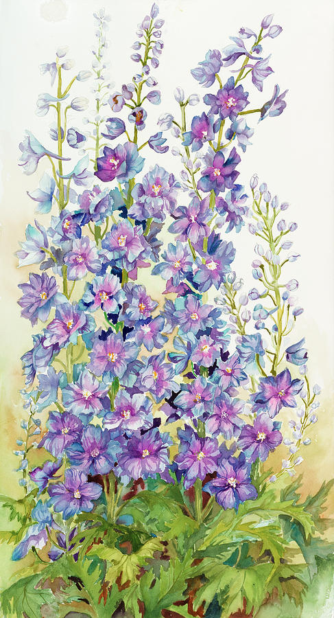 Flower Painting - Delphinium Cluster by Joanne Porter