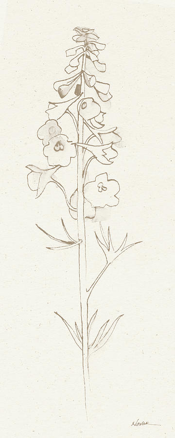 Flower Painting - Delphinium II by Shirley Novak