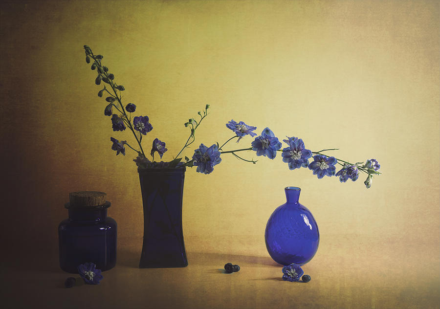 Still Life Photograph - Delphinium by John-mei Zhong