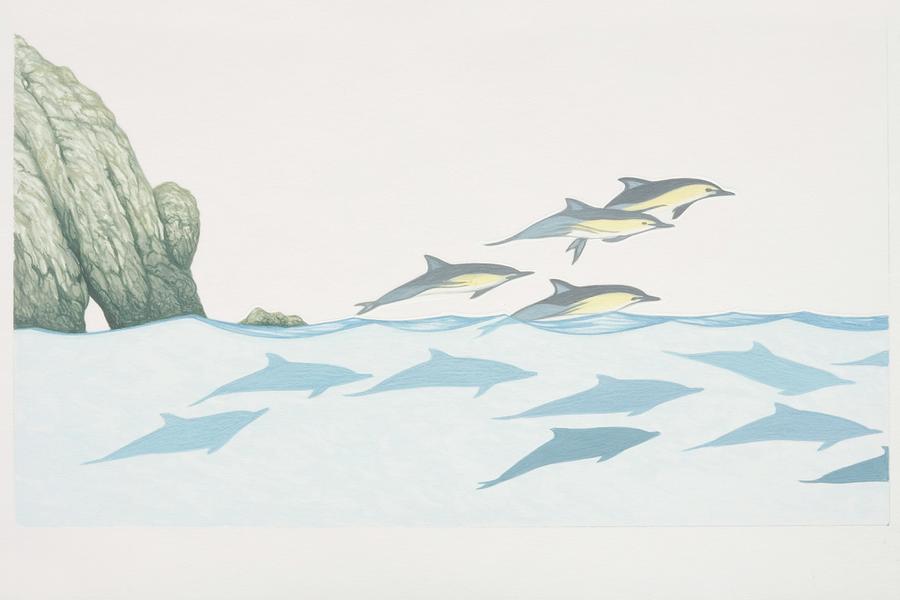 Delphinus Delphis, Group Of Common Digital Art by Martin Camm