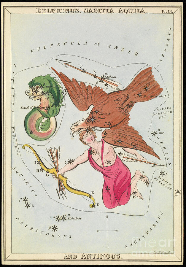 Delphinus, Sagitta, Aquila And Antinous, Circa 1825 Card, Paper, Tissue Mixed Media by Sydney Hall