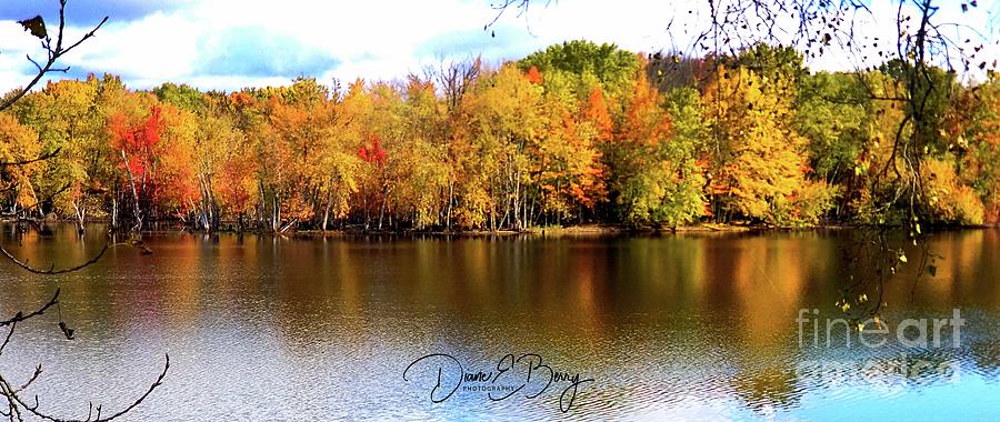 Delta Lake Foliage Photograph by Diane E Berry