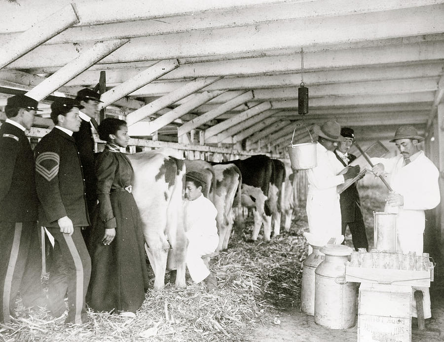 Demonstration of milk testing in stable, at Hampton Institute, Hampton, Virginia Painting by Unknown