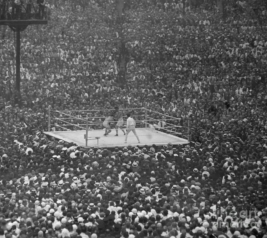 Dempsey-carpenter Fight Photograph by Bettmann Dempsey-carpenter Fight Photograph by Bettmann