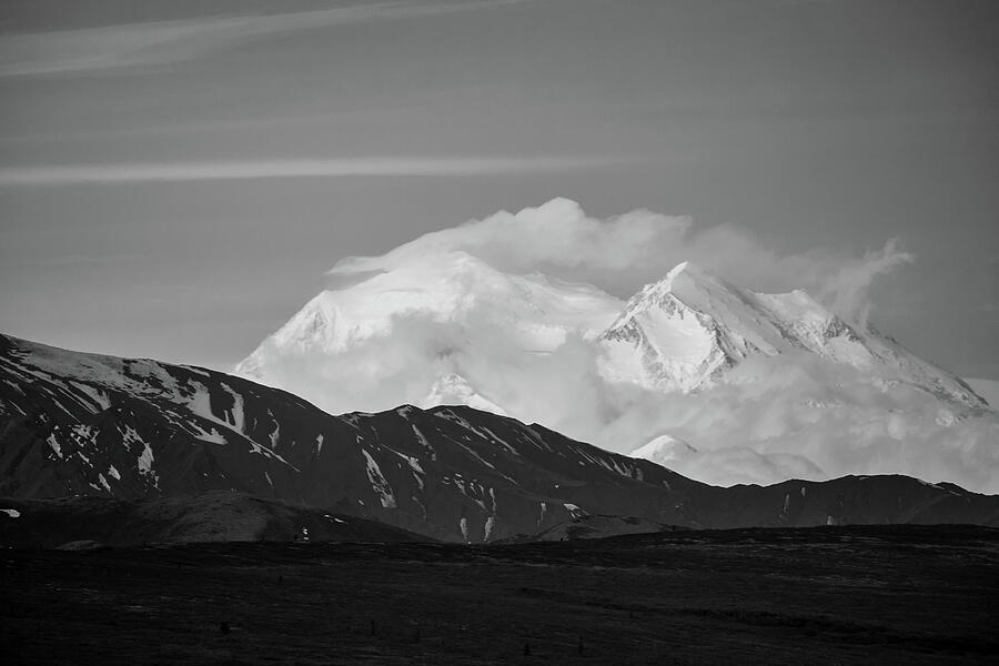 Denali Black and White Photograph by Bill Gallagher
