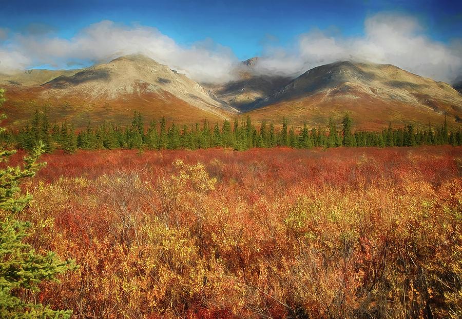Denali Natl Park in All Her Glory Photograph by Dyle Warren
