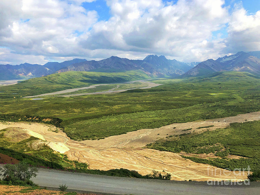 Denali National Park Painting by Jeanette French