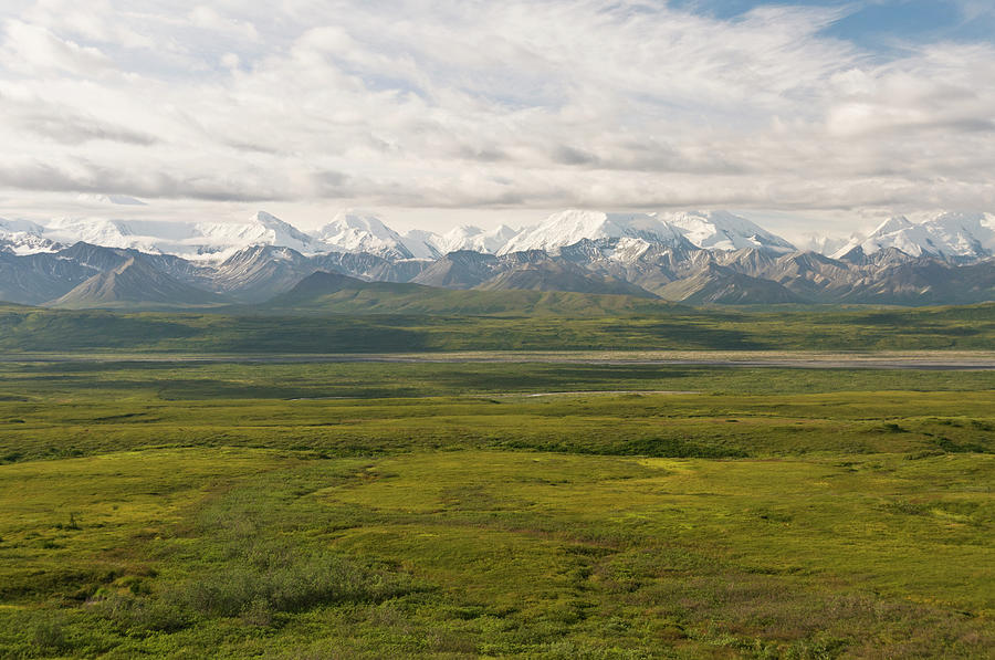 Denali Np Alaska Range Landscape Photograph by John Elk