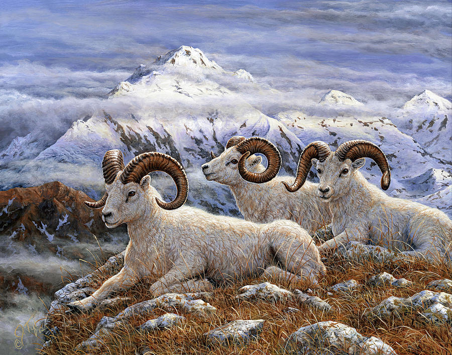 Denali Rams Painting by Jeff Tift