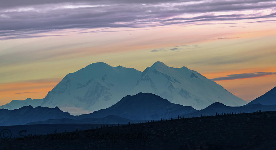 Denali The Great One Photograph