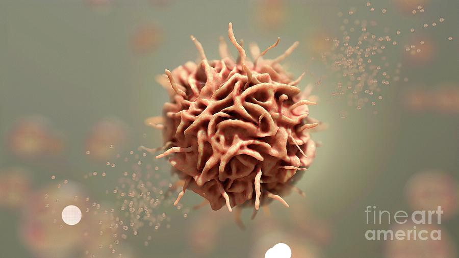 Dendritic Cell Photograph by Nanoclustering/science Photo Library