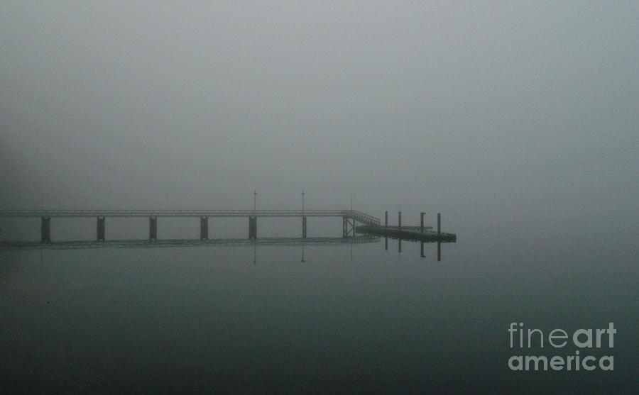 Denman Island Fog Photograph