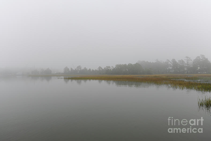 Dense Salt Marsh Fog Photograph by Dale Powell