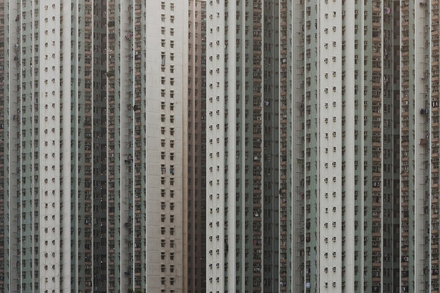 Dense Windows Of High Rise Constructed Photograph by D3sign