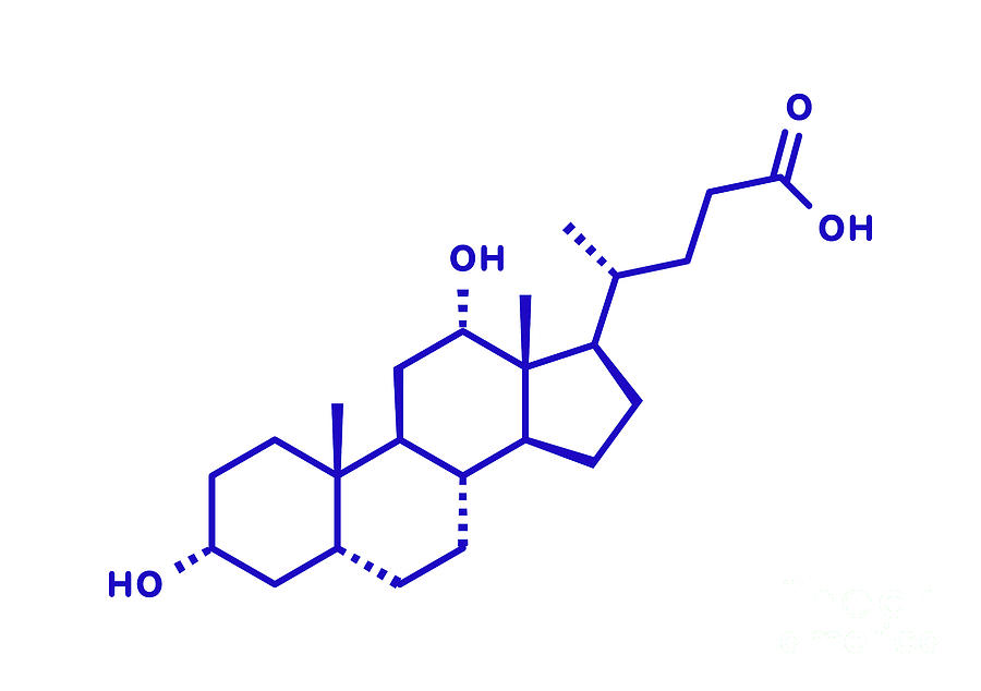 Deoxycholic Acid Bile Acid Molecule Photograph by Molekuul/science ...