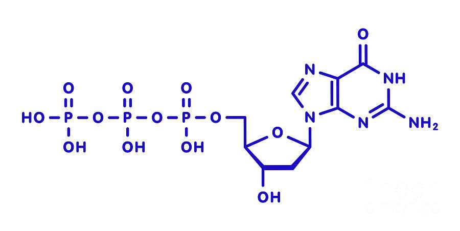 Deoxyguanosine Triphosphate Nucleotide Molecule Photograph by Molekuul ...