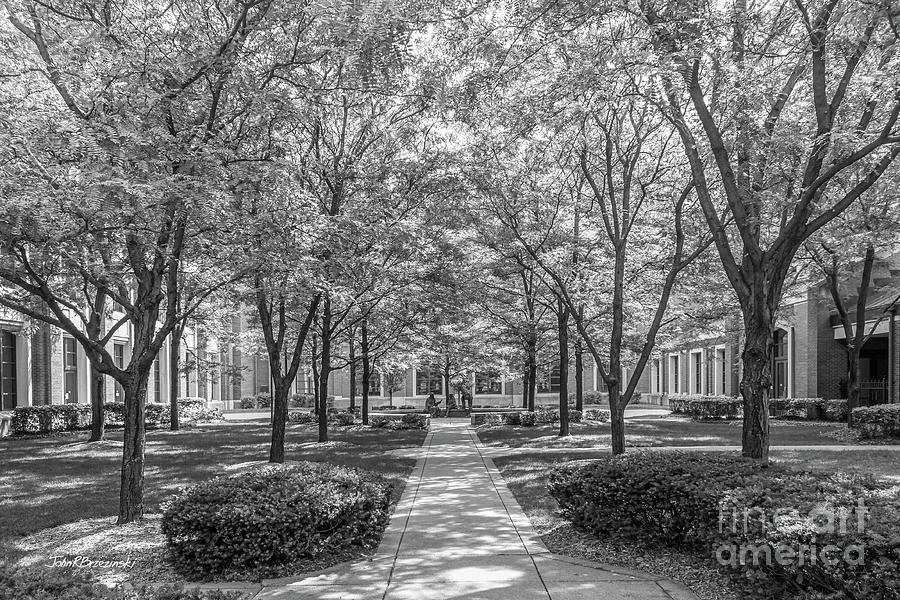 DePaul University Richardson Library Courtyard Photograph by University Icons
