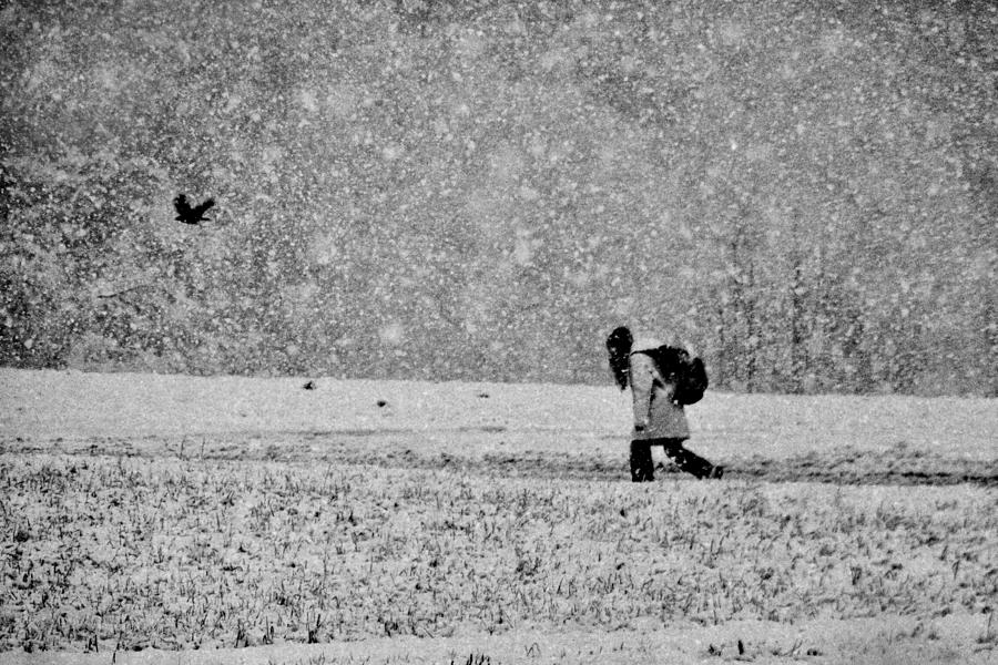 Winter Photograph - Depression by Barbara