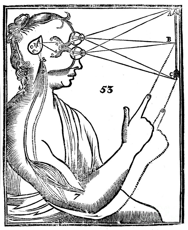 Descartes Idea Of Vision, 1692 Drawing by Print Collector