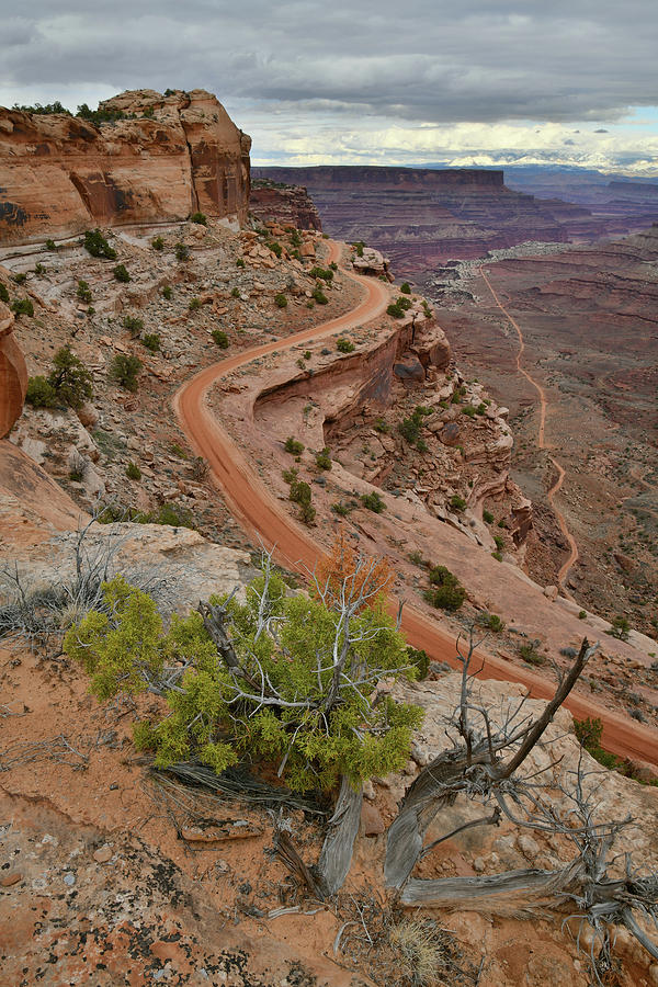 Descending Shafer Trail in Canyonlands NP Photograph by Ray Mathis