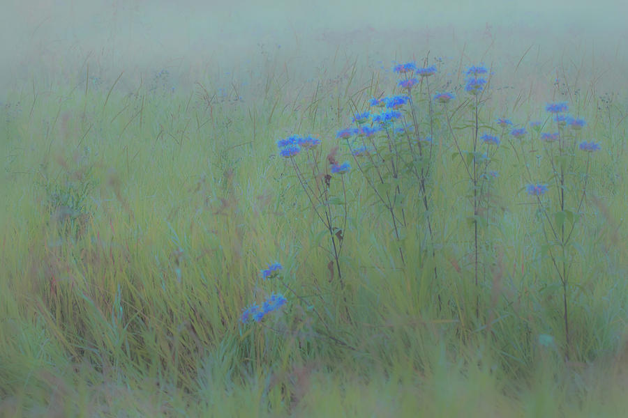 Nature Photograph - Descent into evenings Blue by Paul Malen Nature Photograph - Descent into evenings Blue by Paul Malen