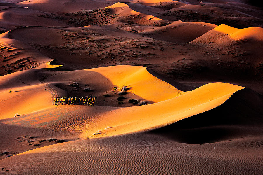 Desert 05 Photograph by Shin Woo Ryu