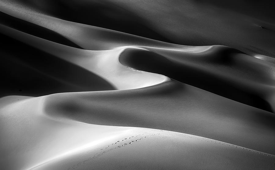 Desert Photograph by Amir Hossein Kamali