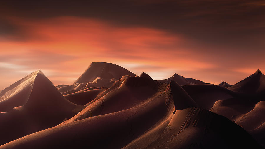 Desert Photograph by Amirtourang | Fine Art America