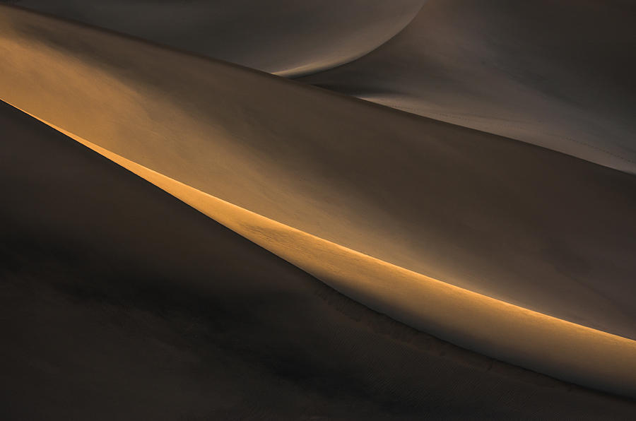 Desert Photograph by Ann Du