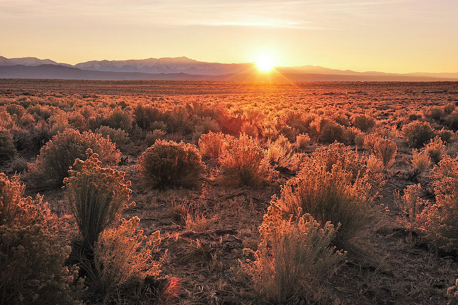 Desert At Sunset Digital Art by Heeb Photos