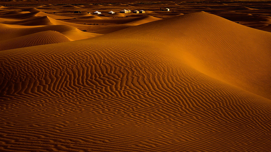 Desert Camp Photograph by Martin Steeb