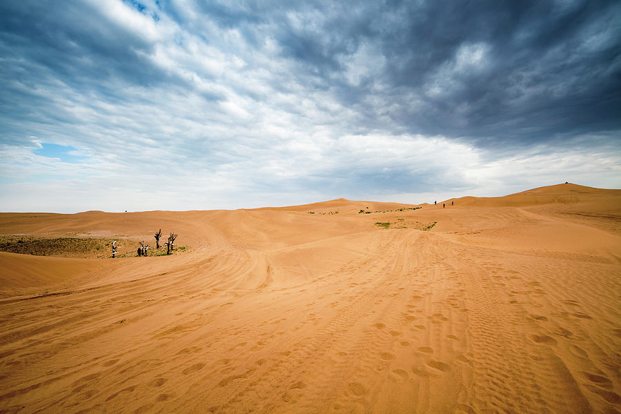 Desert Photograph by Chinaface