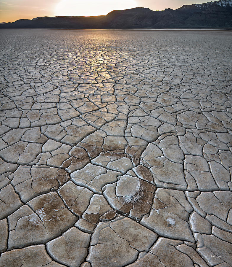Desert Circle Photograph by Leland D Howard