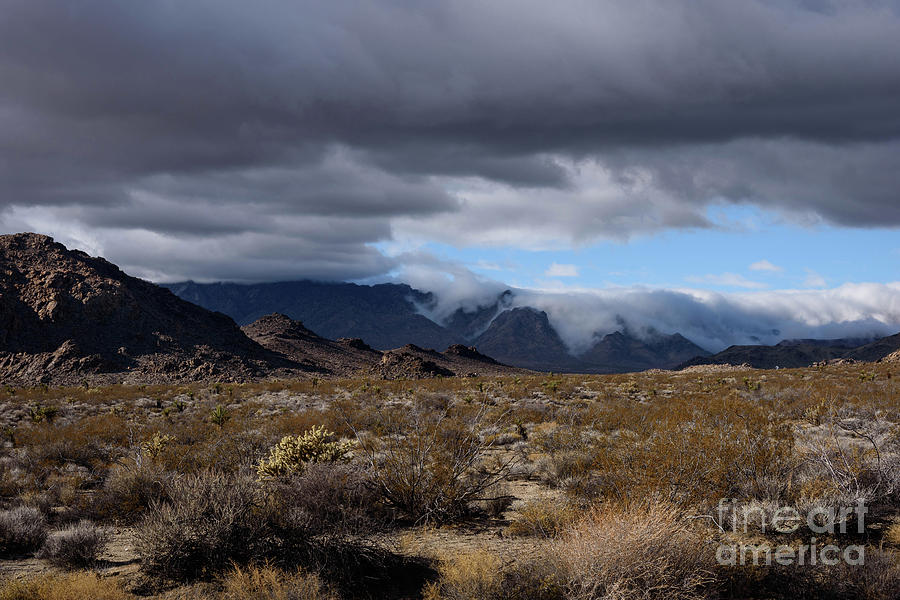 Desert Clouds and Blue Sky  Photograph by Jeff Hubbard