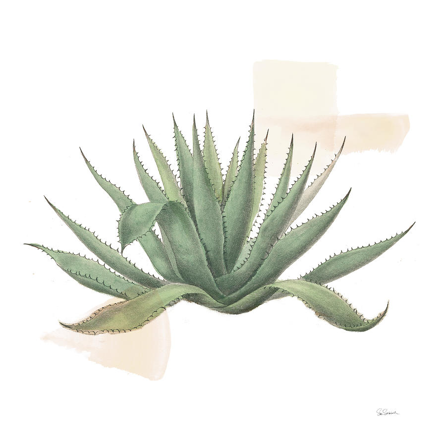 Desert Mixed Media - Desert Color Succulent I by Sue Schlabach