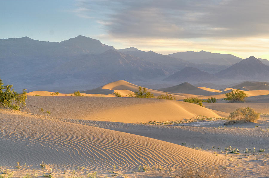Desert Dawn Photograph by Photo By John Rice