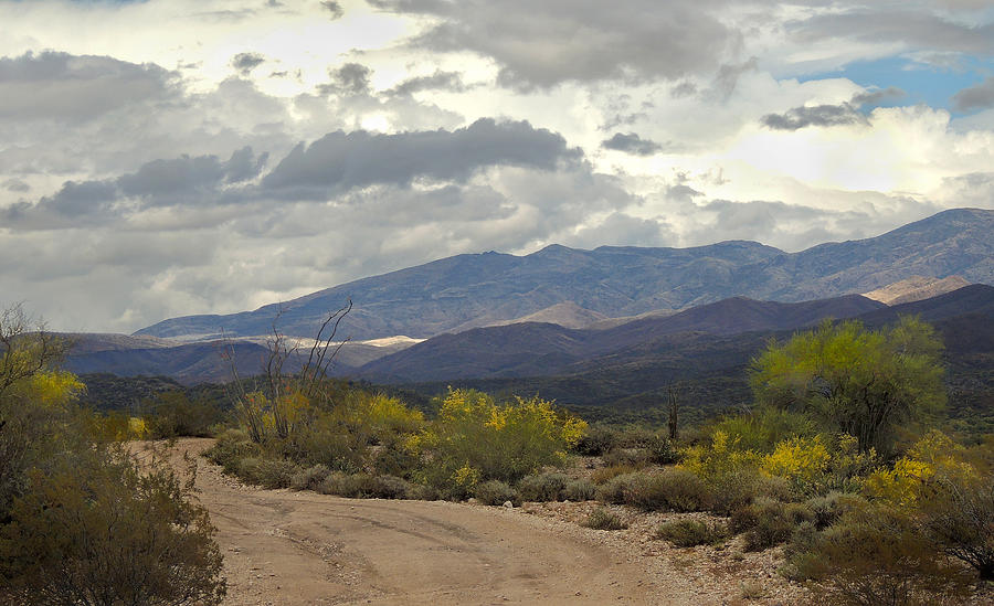 Desert Drive Photograph by Gordon Beck