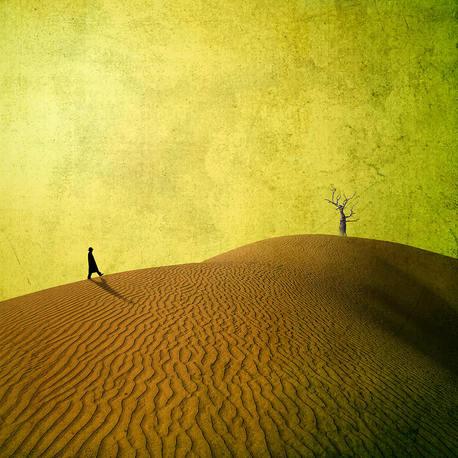Desert Photograph by Evgenii Novichikhin