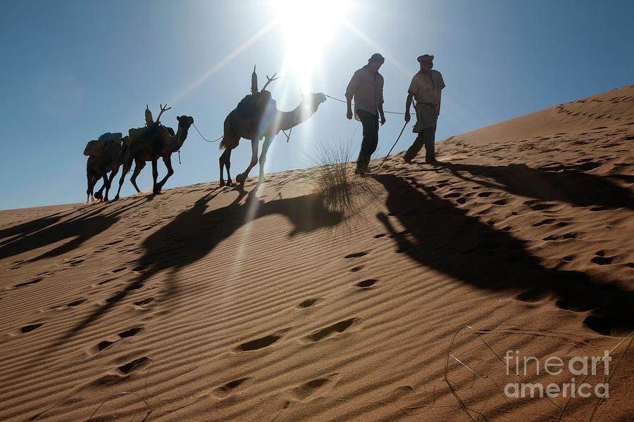 Desert Exploration Photograph by Vincent Amouroux , Mona Lisa ...